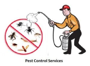 pest control services