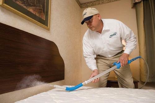 bed bugs pest control