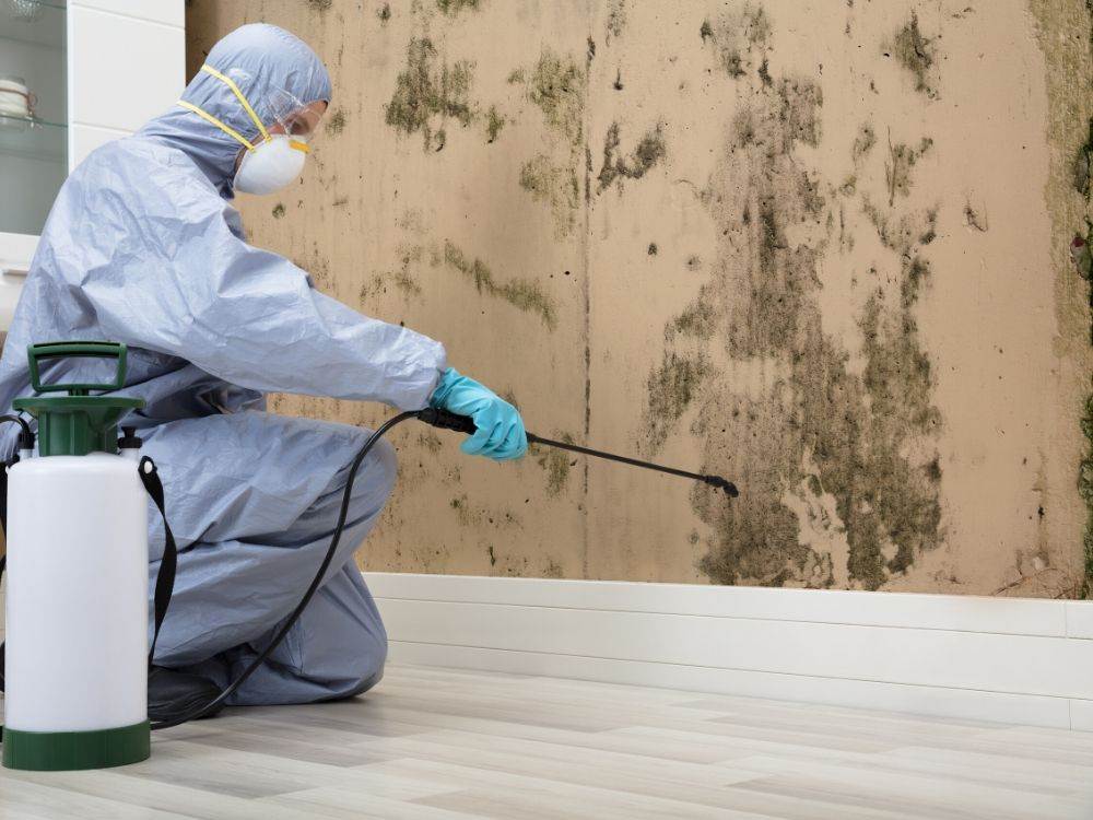Mold Remediation