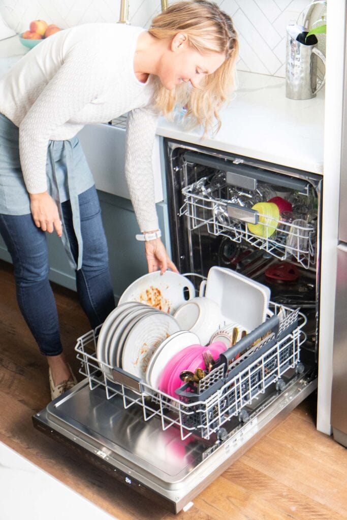 DISHWASHER CLEANING