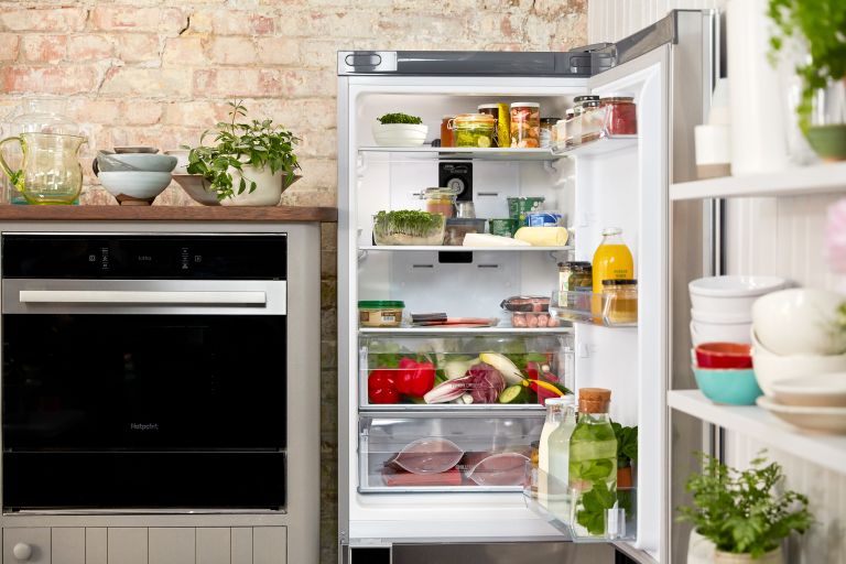 fridge cleaning