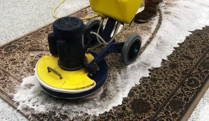 Carpet Cleaning Services