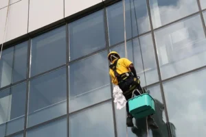Rope Access Cleaning